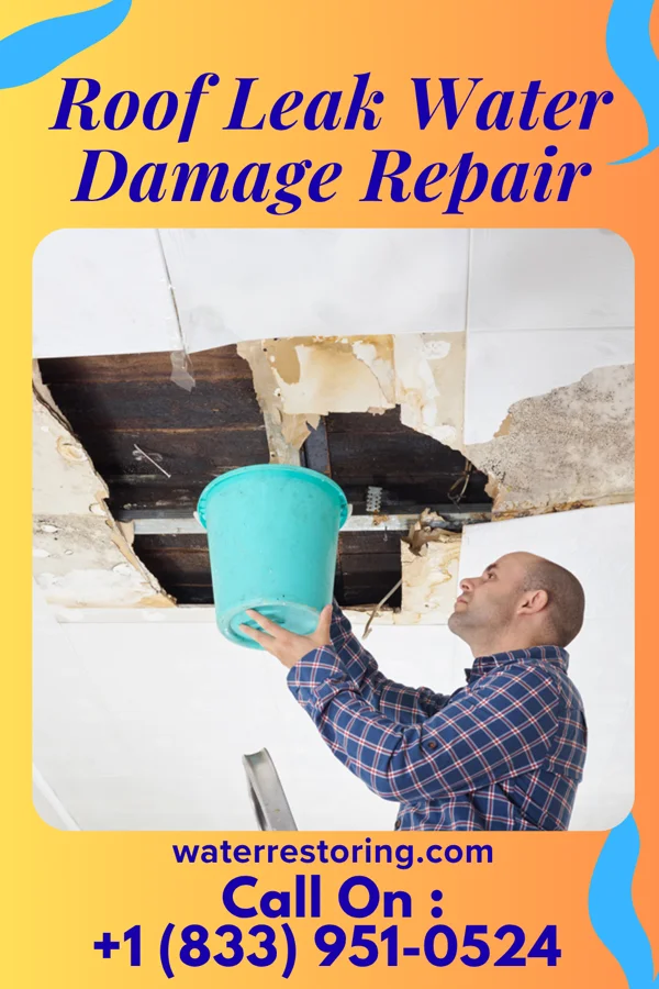 Roof Leak Water Damage Repair in Tucumcari, NM
